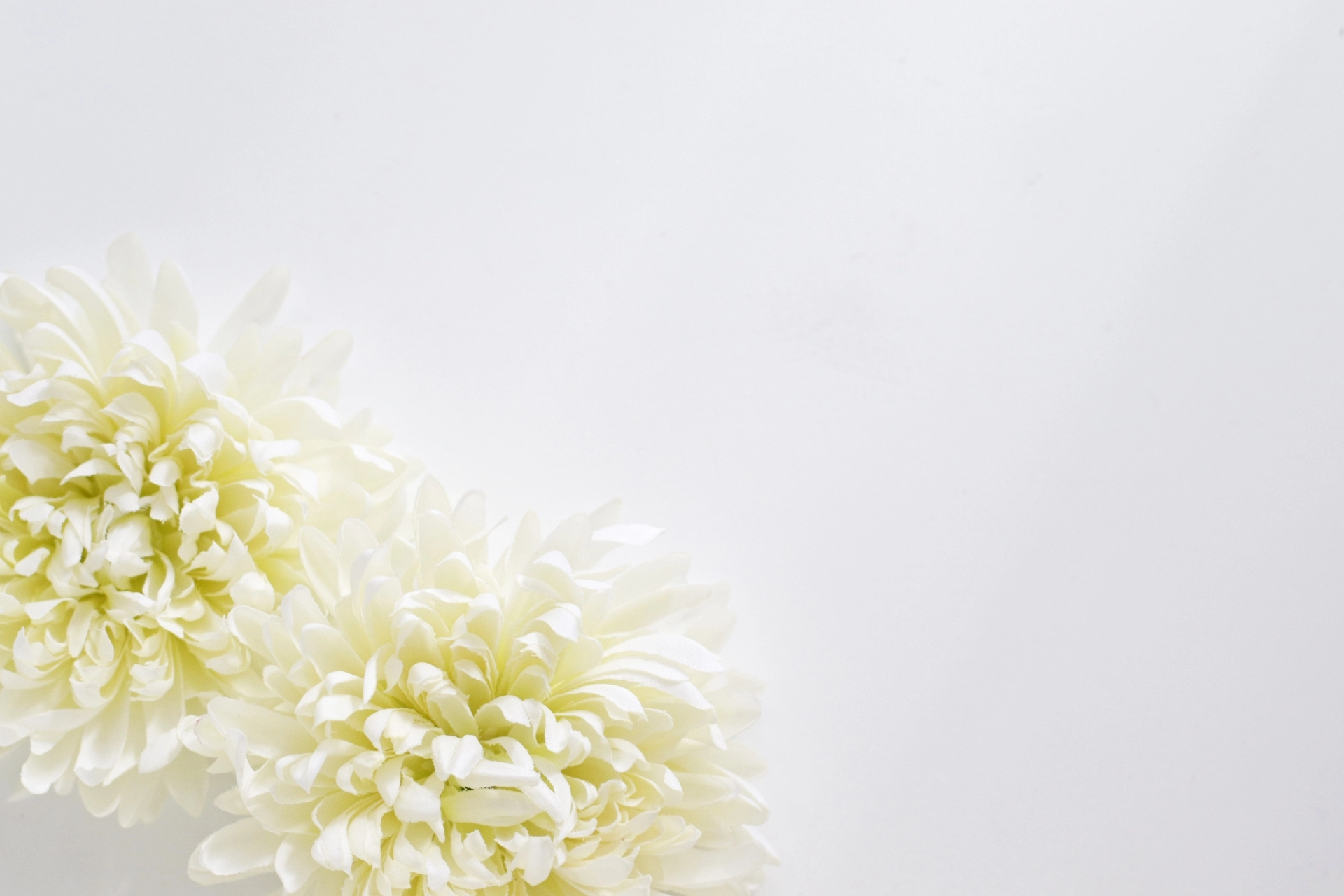 喪中期間のお年賀はどうする?気をつける注意点