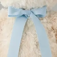 ブルーのリボン