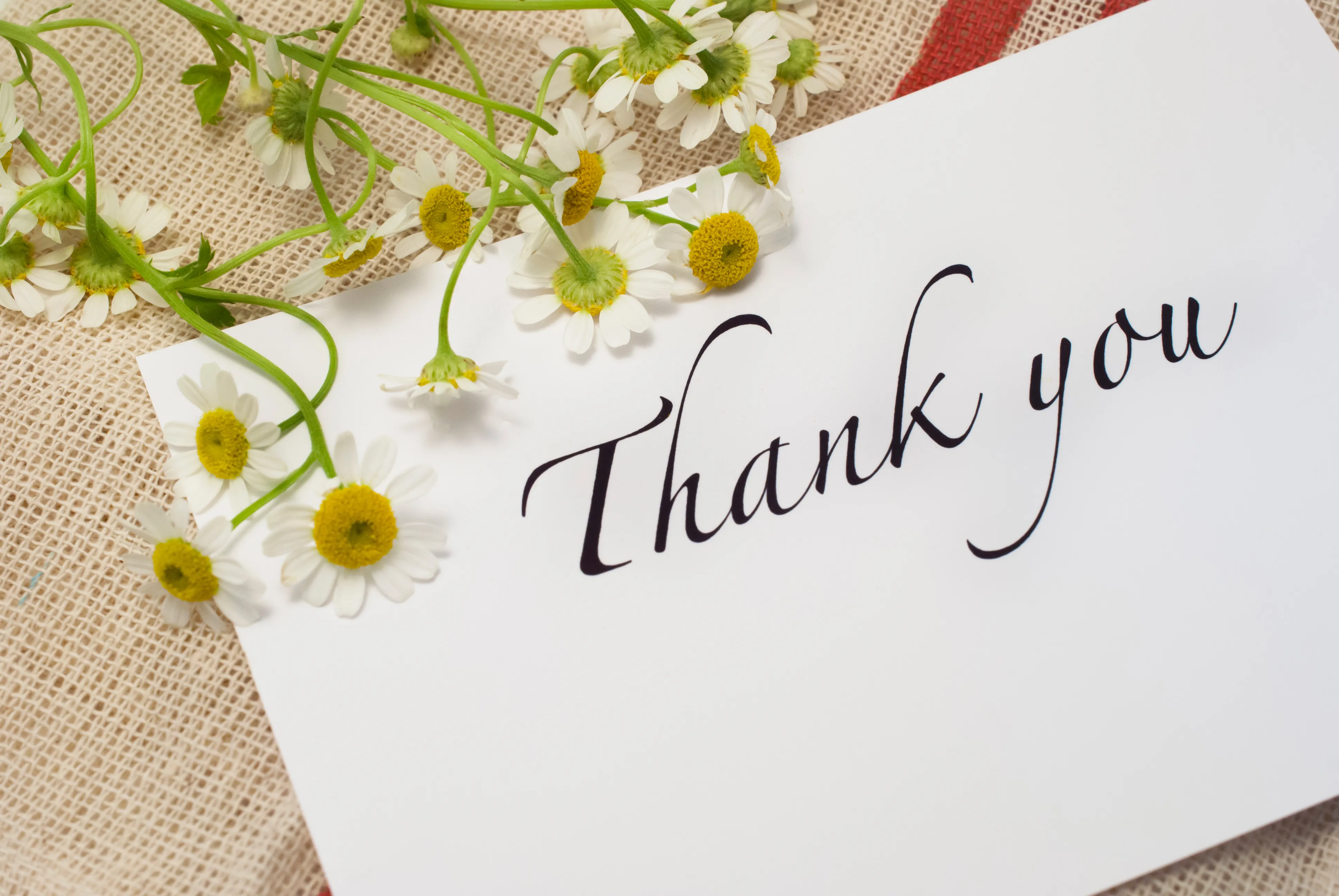 産休の挨拶一言メッセージ集|お菓子に添えるメッセージカードにぴったり