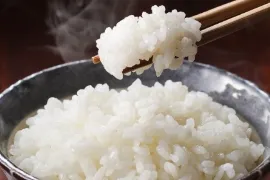 田蔵お米ギフト