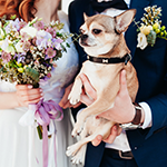推し婚とは?推しを取り入れた結婚式におすすめの婚姻届や演出のアイデアをご紹介!