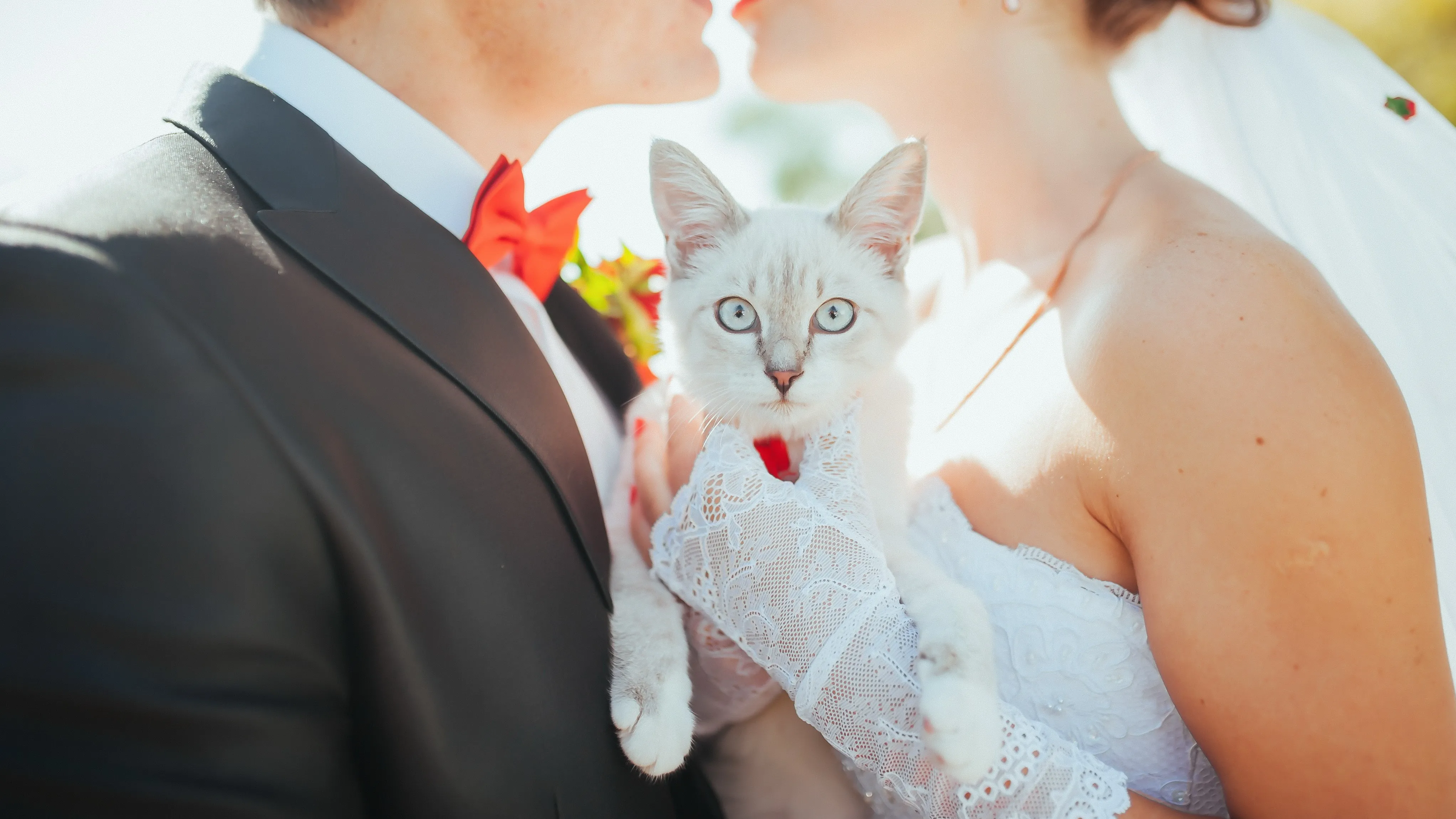 推し婚を成功させるポイント!こだわりながらもゲストに配慮する