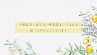 オープニングムービー Sheer Genic シアージェニック レモン 