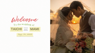 オープニングムービー Canvas  キャンバス  