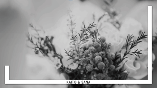 オープニングムービー Gold ゴールド 