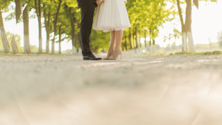 オープニングムービー Gold ゴールド 