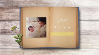 プロフィールムービー ブック 