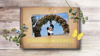 プロフィールムービー ブック 