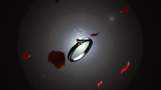 プロフィールムービー バチェラー風