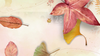 プロフィールムービー Autumn Leaves -オータムリーブス-