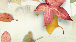 プロフィールムービー Autumn Leaves -オータムリーブス-