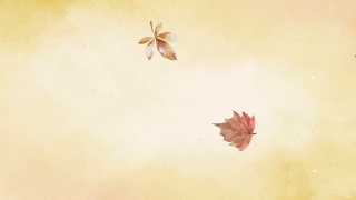 プロフィールムービー Autumn Leaves -オータムリーブス-