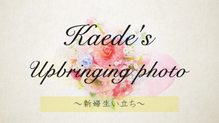 サンクスムービー サンクスブーケ 両親贈呈 二人用