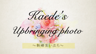 サンクスムービー サンクスブーケ 両親贈呈 新婦用