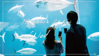 ゲスト紹介ムービー Switch -スイッチ-