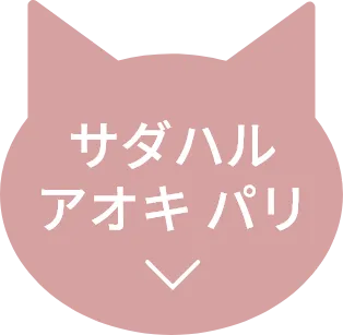 サダハルアオキパリ