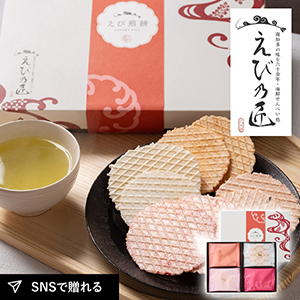 えび乃匠 えび煎餅ギフト 16袋