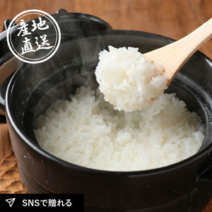 【送料無料】産地直送グルメ│雪温精法 新潟県産新之助（4kg）【新潟県】