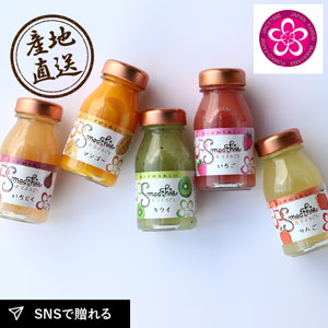 【送料無料】産地直送グルメ│ふみこ農園 フルーツスムージー（10本）