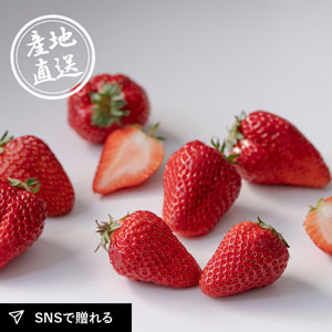 【送料無料】【26年1月中旬から発送】産地直送グルメ│紅ほっぺ（いちご）（2Ｐ）