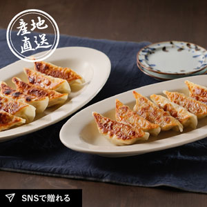 【送料無料】産地直送グルメ│土佐を包む お山の餃子（野菜・生姜）【高知県】
