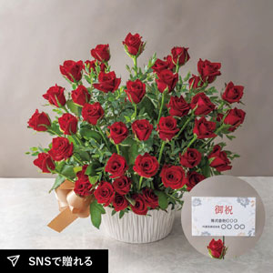 【送料無料】【25年6月上旬から発送・先行予約商品】ホシファーム 薔薇の御祝アレンジメント ルージュ