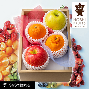 ホシフルーツ おまかせ旬のフルーツBOX A