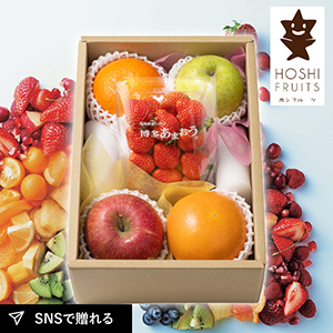 ホシフルーツ おまかせ旬のフルーツBOX B