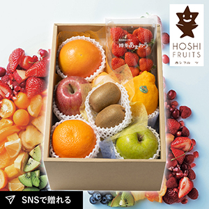 ホシフルーツ おまかせ旬のフルーツBOX C
