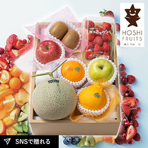 ホシフルーツ おまかせ旬のフルーツBOX D