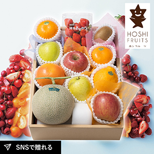 ホシフルーツ おまかせ旬のフルーツBOX E