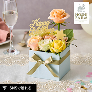 ホシファーム キュビーバースディアローズ M パッション