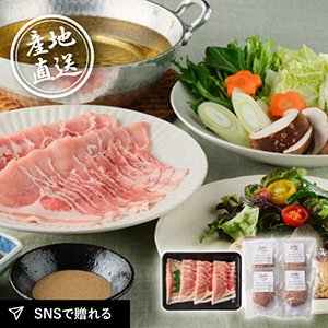 産地直送グルメ│Judo's 千葉育ちの豚肉ごちそう便