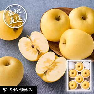【12月上旬から発送】産地直送グルメ│山形県朝日町産 はるか（りんご） 2kg