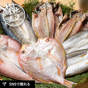 産地直送グルメ│海鮮一汐開きセット