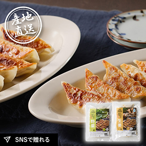 産地直送グルメ│土佐を包む お山の餃子（野菜･生姜）