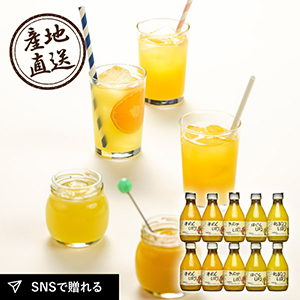 産地直送グルメ│伊藤農園 100%ピュアジュース4種飲み比べ10本