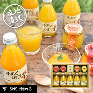 産地直送グルメ│伊藤農園 100%ピュアジュース&ジュレセット