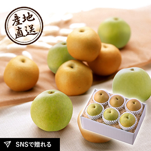 【9月上旬から発送】産地直送グルメ│梨 食べくらべ