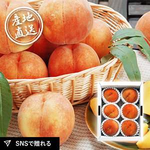 産地直送グルメ│山形県産 黄金桃 2kg