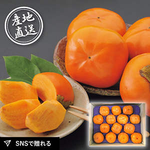 【11月上旬から発送】産地直送グルメ│次郎柿 3.2kg