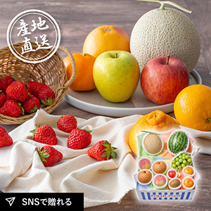 産地直送グルメ│季節の果実アソート F