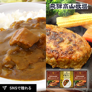 飛騨高山牧場 焼きハンバーグ＆こだわりカレーセットA