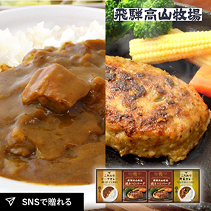 飛騨高山牧場 焼きハンバーグ＆こだわりカレーセットB