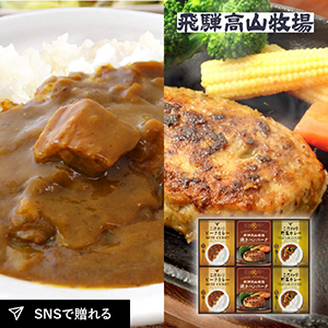 飛騨高山牧場 焼きハンバーグ＆こだわりカレーセットC
