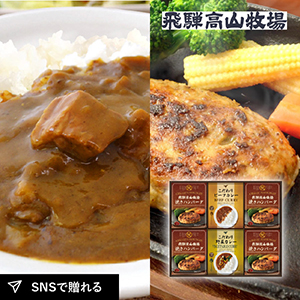 飛騨高山牧場 焼きハンバーグ＆こだわりカレーセットD