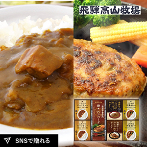 飛騨高山牧場 焼きハンバーグ＆こだわりカレーセットE
