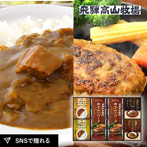 飛騨高山牧場 焼きハンバーグ＆こだわりカレーセットF