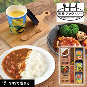 美食ファクトリー ごちそうお手軽バラエティ　北海道スープ＆ハンバーグA