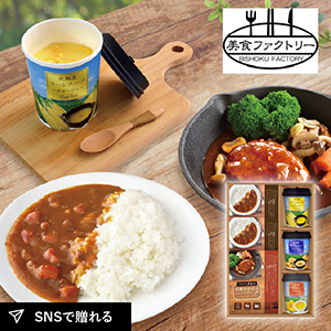 美食ファクトリー ごちそうお手軽バラエティ　北海道スープ＆ハンバーグB